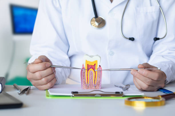 Best Emergency Treatment for Dental Infections or Abscesses in Davis Junction, IL